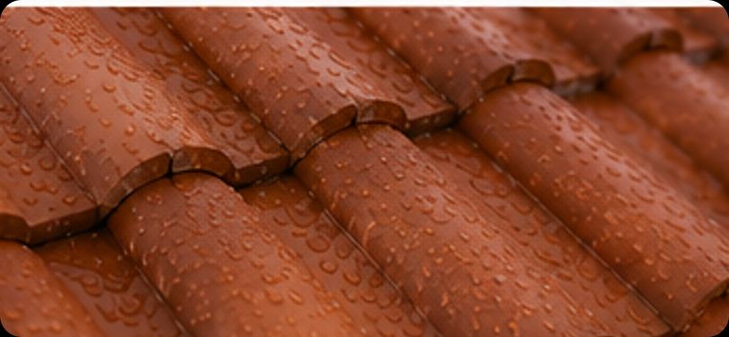 Clean roof tiles